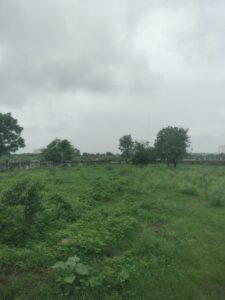 Dighori 4000 S.q feet plot Sale